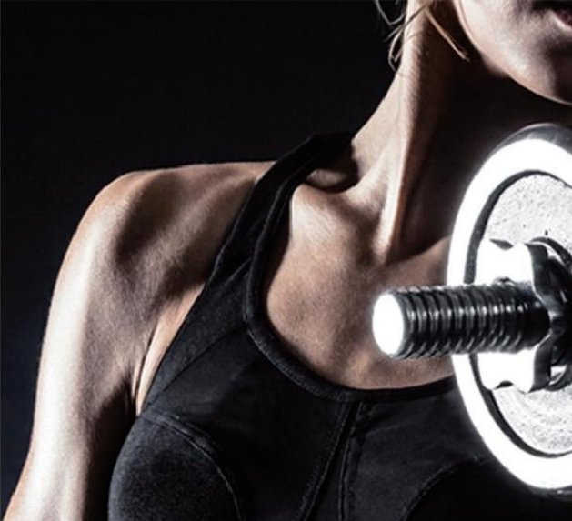 Plate-Loaded Abdominal Trainer