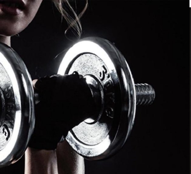 Plate-Loaded Biceps Curl Machine