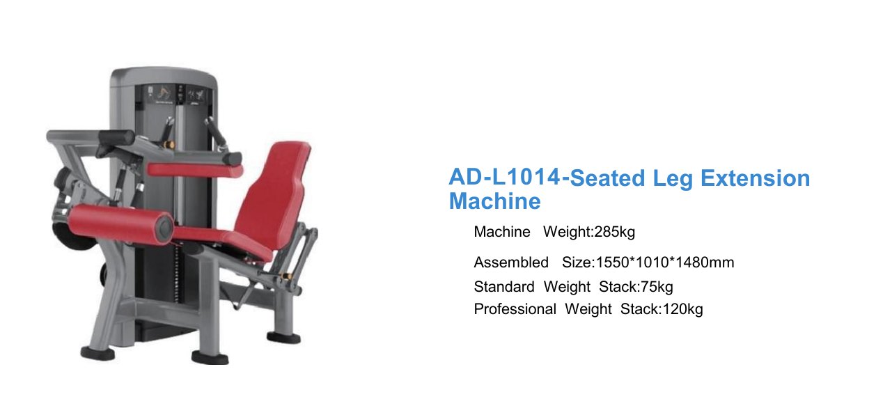 Seated Leg Curl Machine