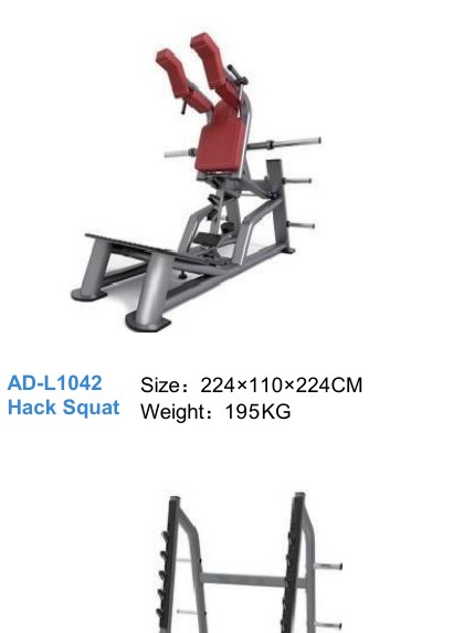 Hack Squat