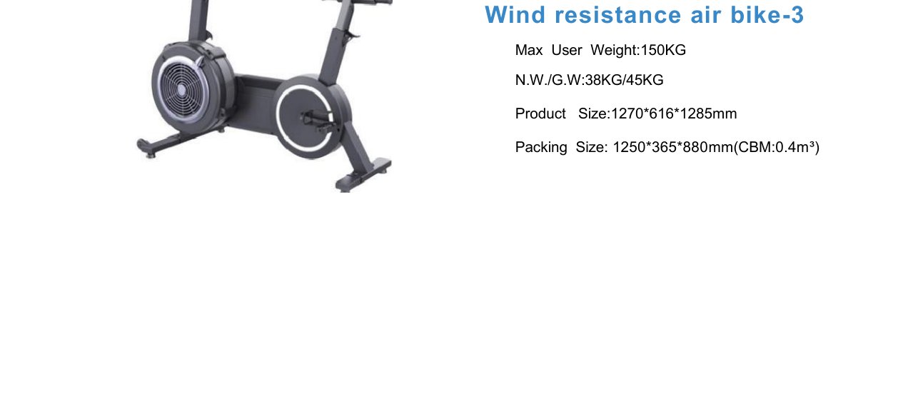 Heavy-Duty Air Bike Pro